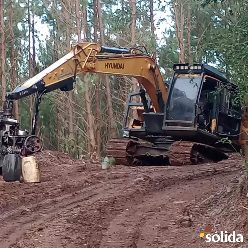 Harvester Hyundai 180 Ano 2018